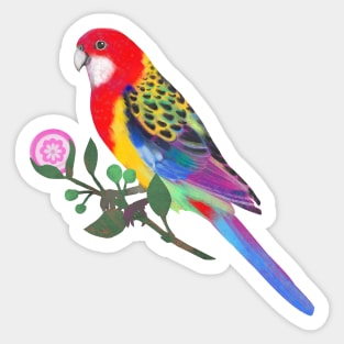 Wingspan Eastern Rosella Sticker